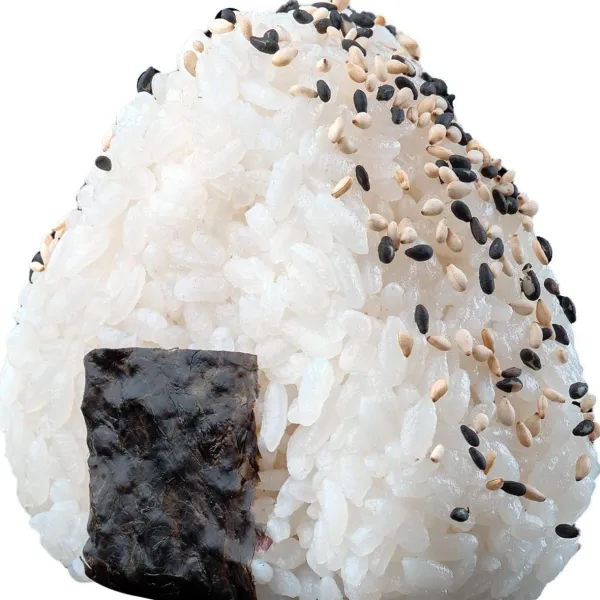 ONIGIRI SHAKE 1U