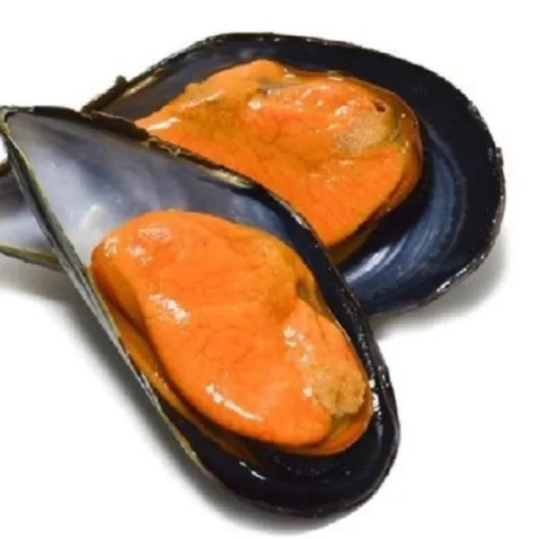 MEJILLONES