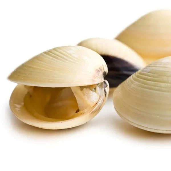 ALMEJAS